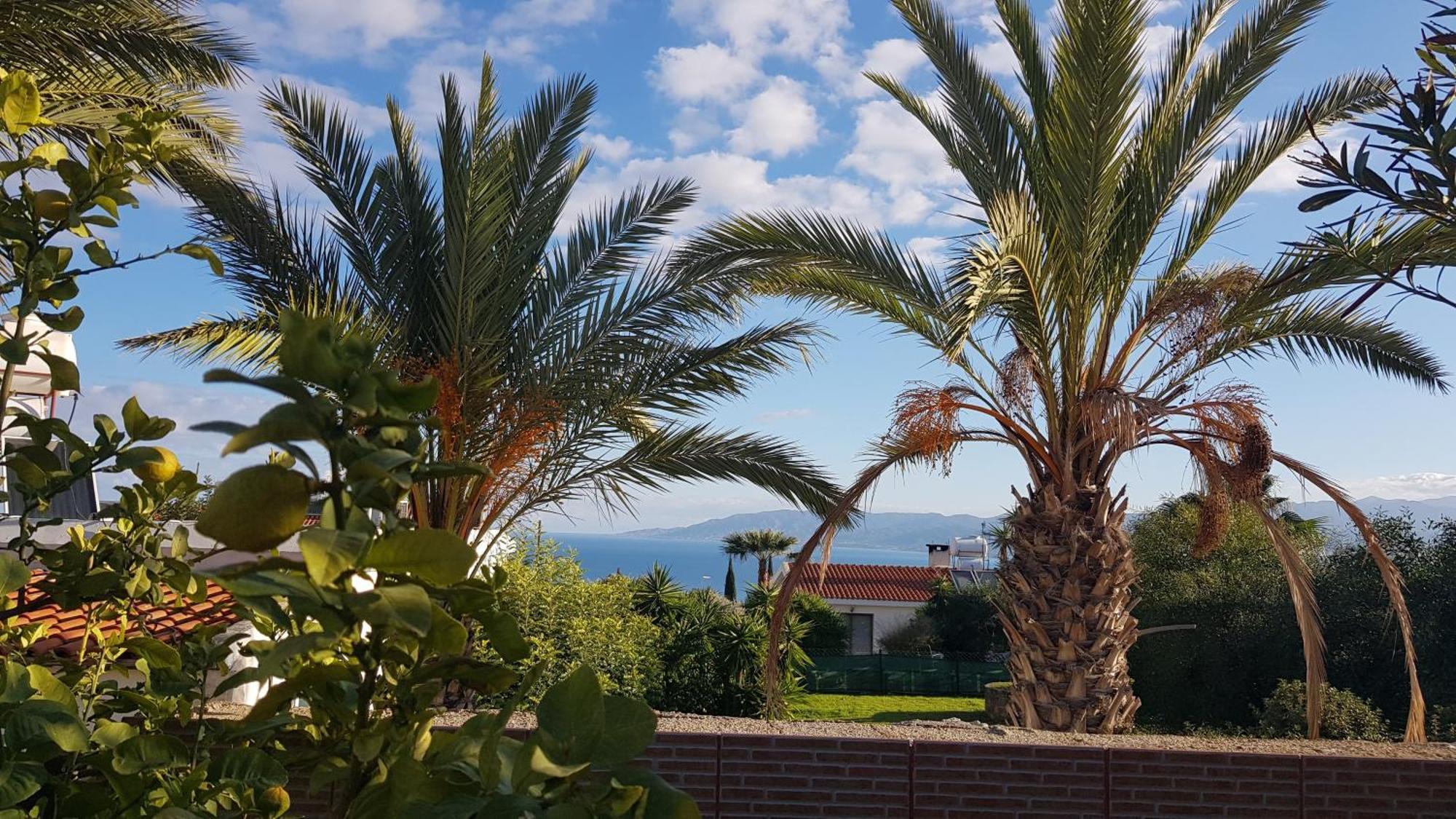 The Summer Haven Polis Quarto foto
